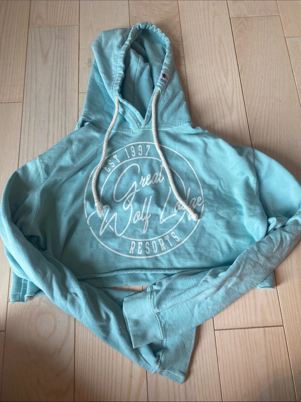 Great Wolf Lodge Light Aqua Hoodie with Colorful Logo Patch